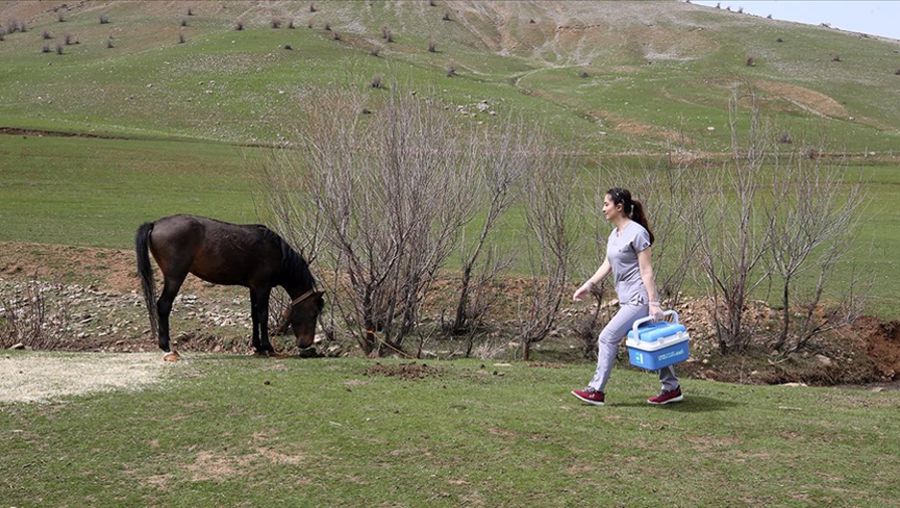 Kader ebe fedakarlığıyla köylülerin gönlüne taht kurdu