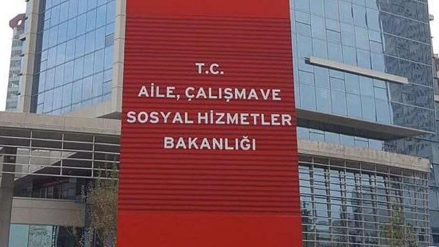 Romanlar, Bakanlığın hazırladığı eylem planından memnun