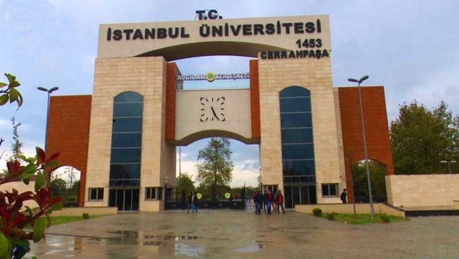 İstanbul Üniversitesi-Cerrahpaşa 4 Sözleşmeli Bilişim Personeli Alacak