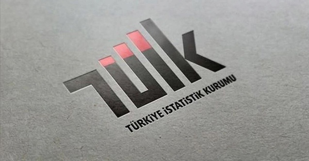 TÜİK'te bu kez de başkan yardımcıları görevden alındı