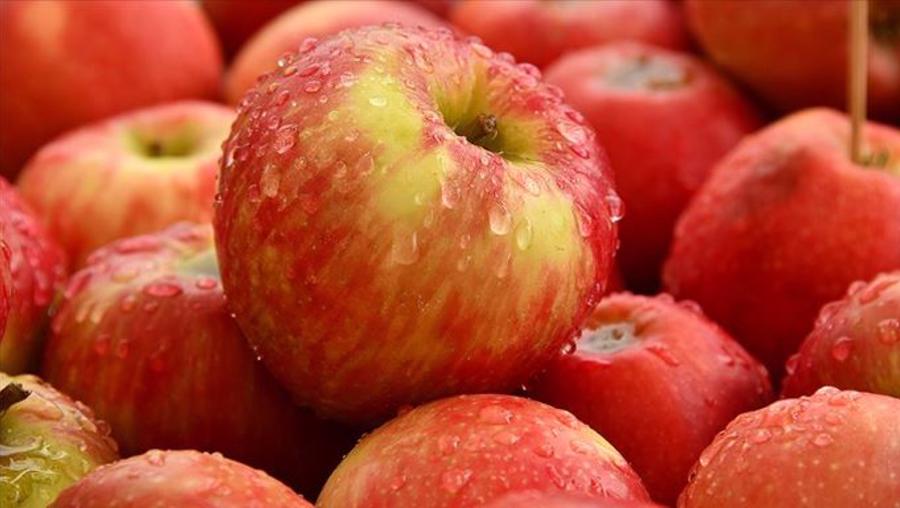 Elmada üretici-market farkı 8 katı aştı