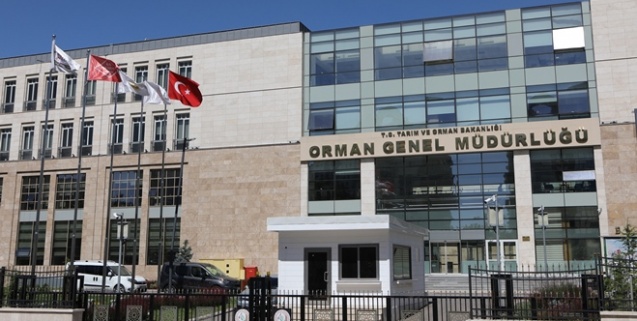 Orman Genel Müdürlüğü 74 engelli ve eski hükümlü alacak