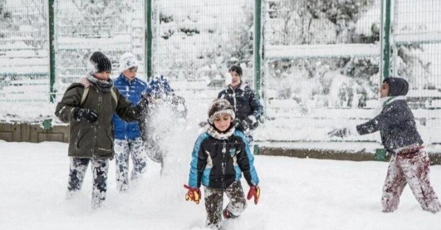İstanbul'da kar yağışı nedeniyle okullar tatil edildi