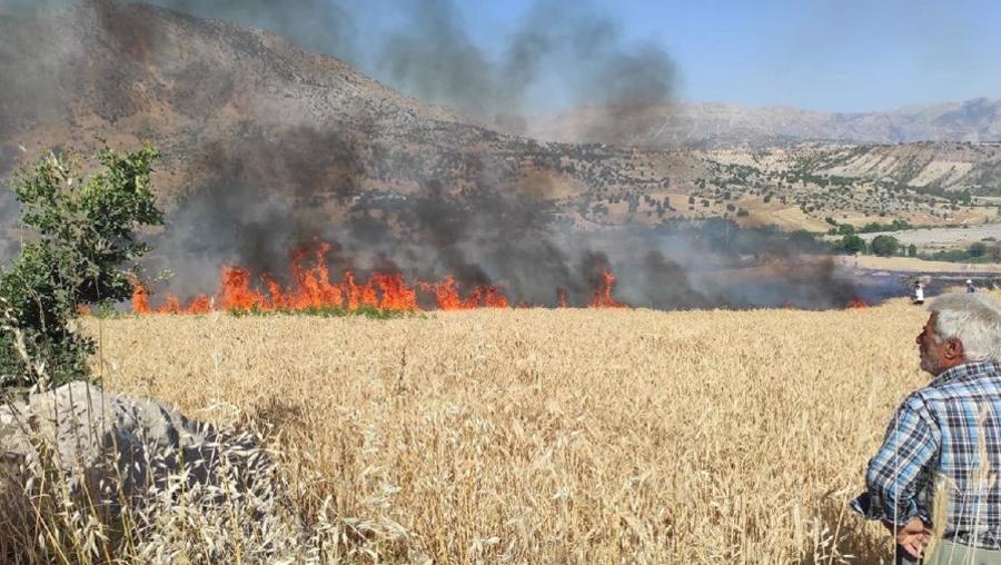 Buğday tarlaları alev alev…