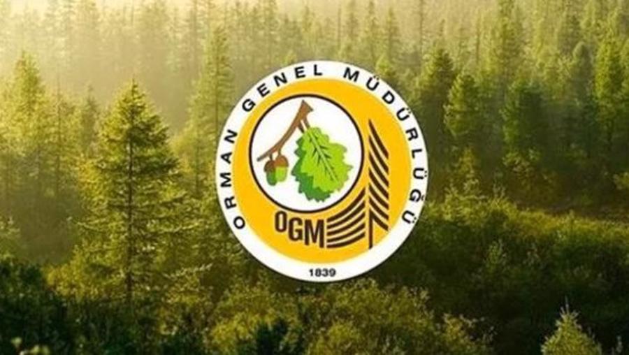 Orman Genel Müdürlüğü 249 Sözleşmeli Orman Mühendisi Alacak