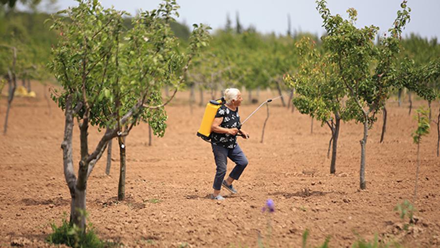 Hemşire, iş stresi sonrasında emekliliğini toprakla atıyor