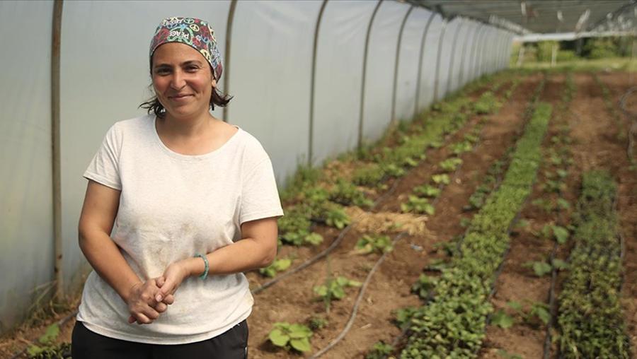 Necla hemşire atıl arazileri tarıma kazandırdı