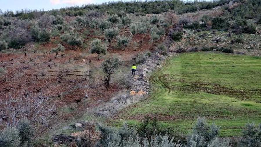 MTA raporu: Yollar, raylar, duvarlar, tarlalar yer değiştirmiş