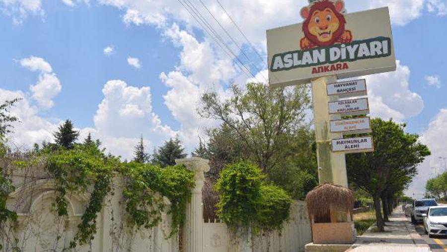 Mahalledeki 'Aslan Diyarı' yıkıldı: Kükremeyle uyanıyorlardı