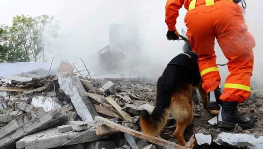 Kahramanmaraş ve Hatay depremlerinin ardından 7 bin 242 artçı yaşandı