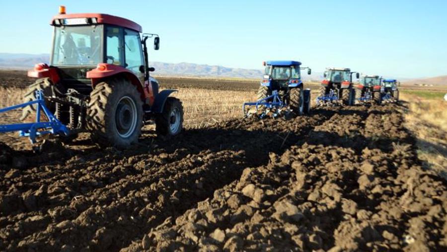 Deprem tarımı nasıl etkiledi, hangi ürünlerde rekolte kaybı endişesi var?