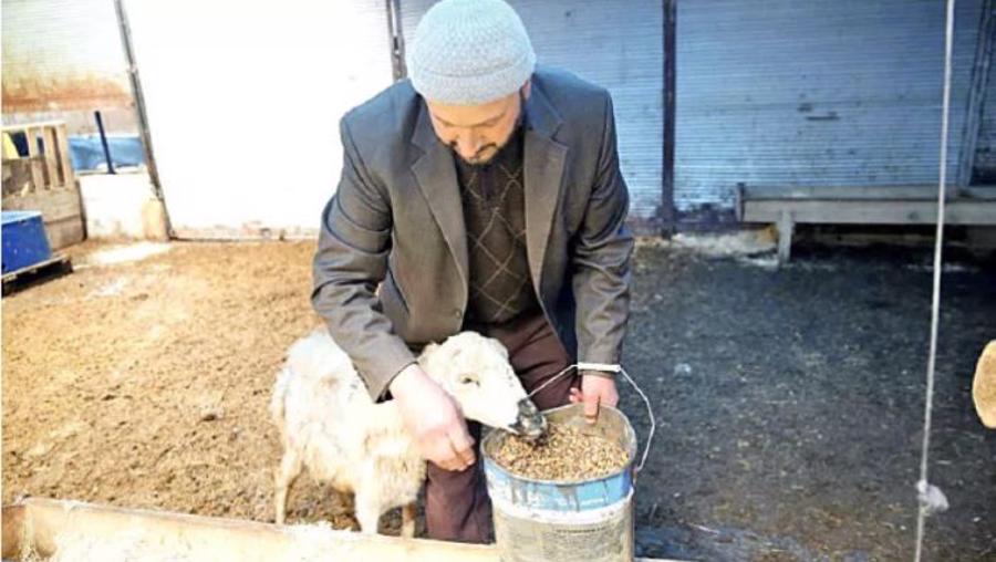 Şehirden kaçış hızlandı, orta direk göçüyor! 