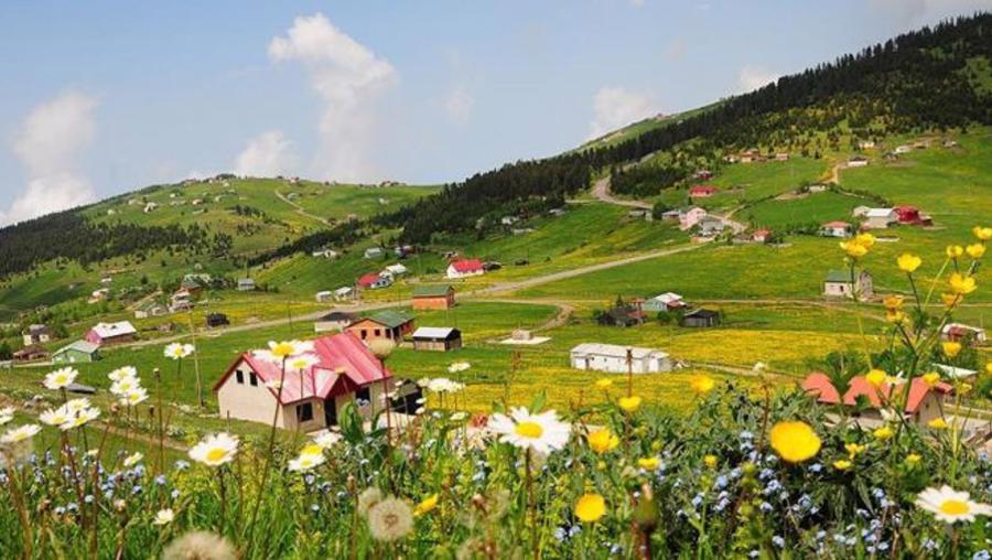 Yeni Orman Kanunu! El konan 60 bin yayla taşınmazı iade edilecek