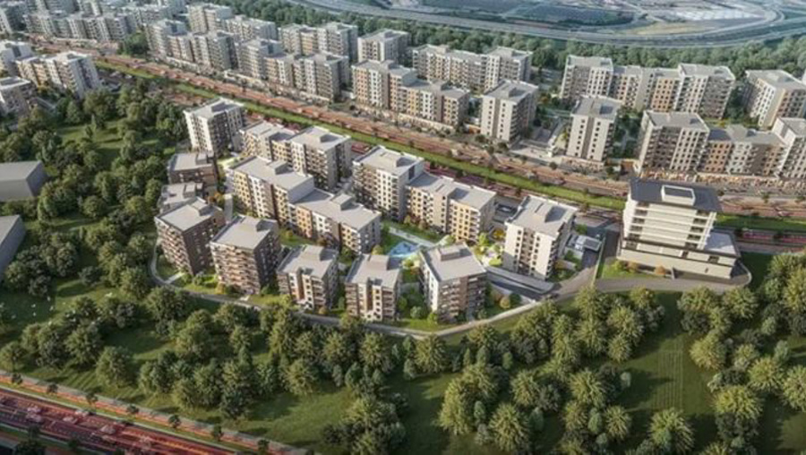 Damlazedeler isyanda! Nereden bulaştık