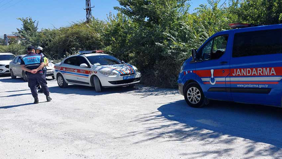 Bir kişi yaralayan kaçak Aslan yakalandı
