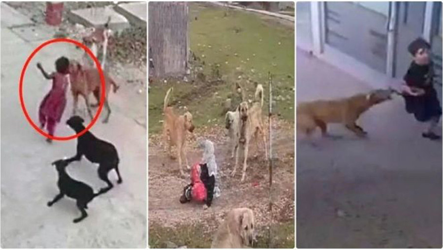 Belediyeler yasayı uygulamıyor!