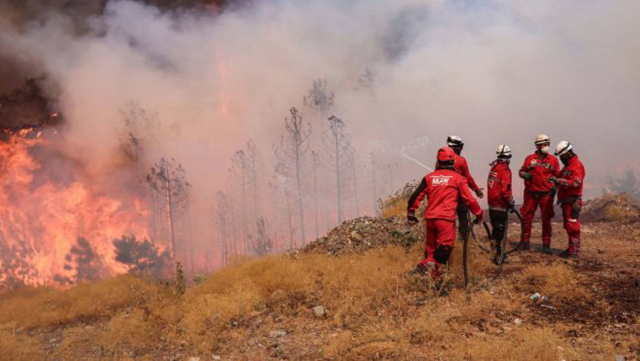 Çanakkale'de orman yangınından 348 kişi kurtarıldı