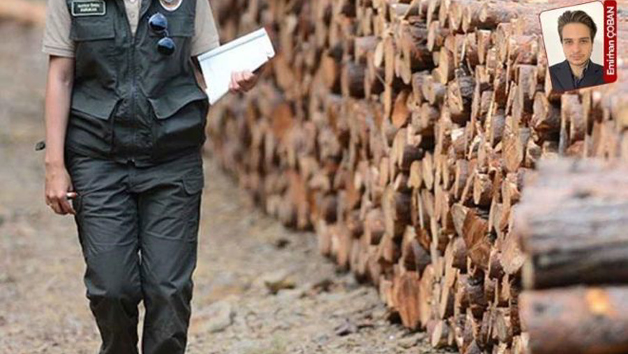 1 Mayıs’ta orman muhafaza memuruna taşlı saldırı