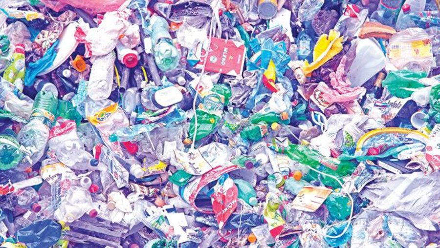 Her hafta bir kredi kartı büyüklüğünde plastik yutuyoruz