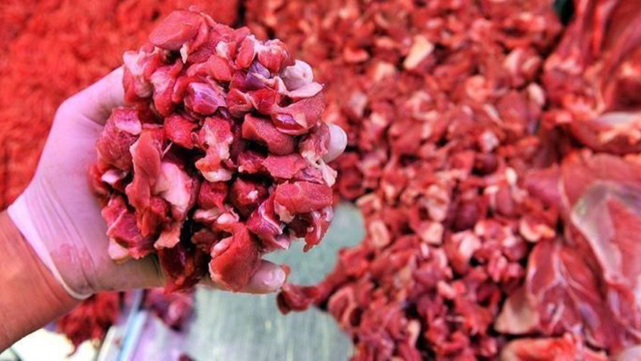 Skandal! At ve eşek eti 250 liraya satıldı