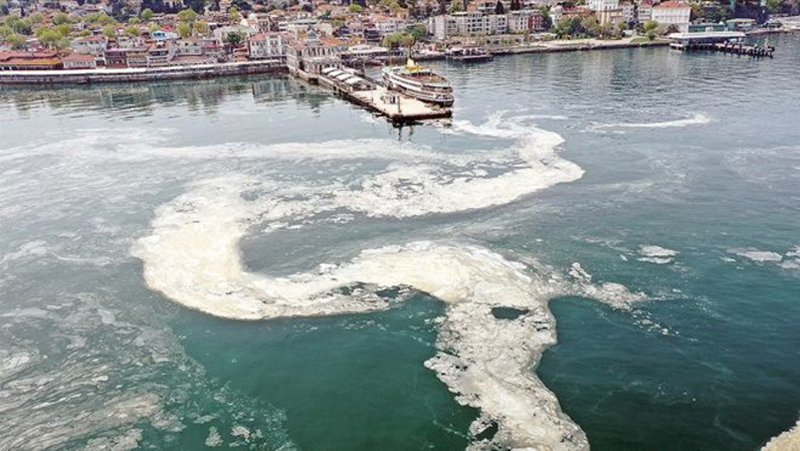 Bakan Kurum'dan belediyelere 'müsilaj' uyarısı
