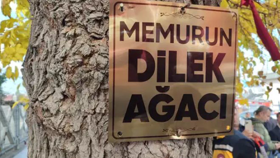 Memurlar taleplerini bu defa 'Dilek Ağacı' üzerinden dile getirdi