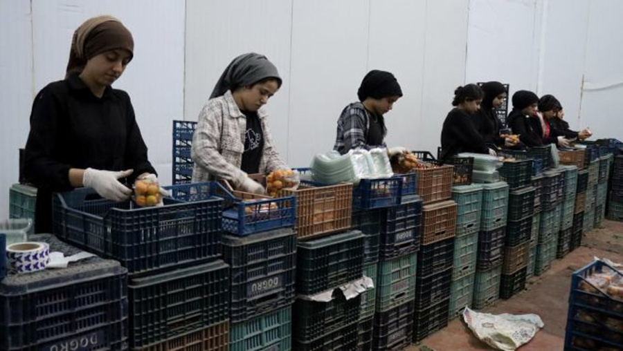 Depremzede girişimcilere 200 milyon TL destek