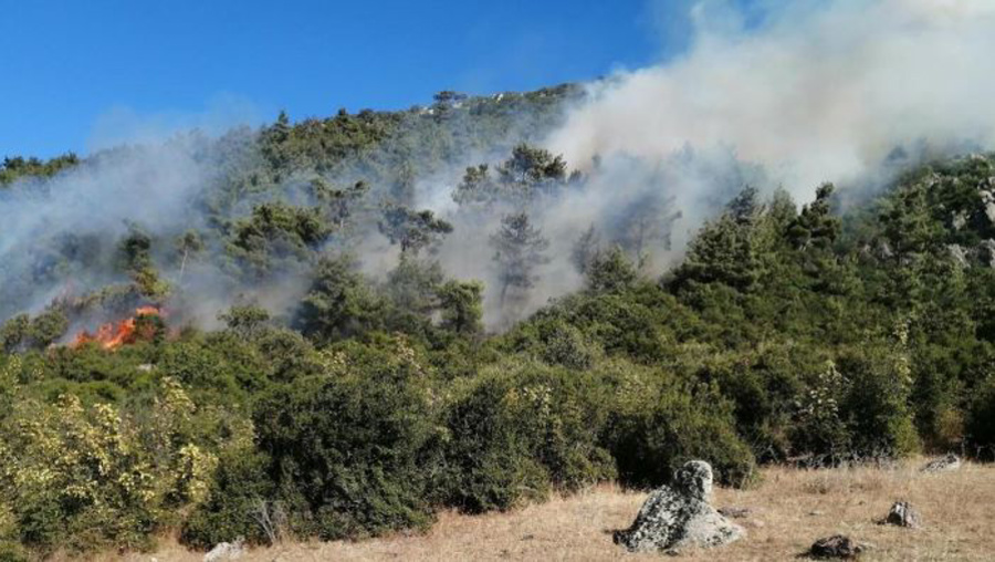 Yangın riski yüksek olan bölgelerde 'Risk Yönetim Ekibi' oluşturuldu