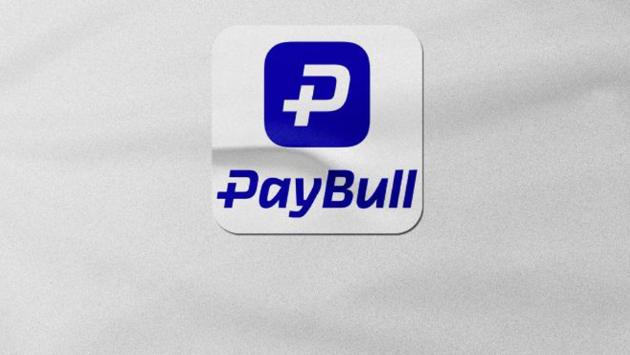 Paybull soruşturmasında 13 kişi tutuklandı