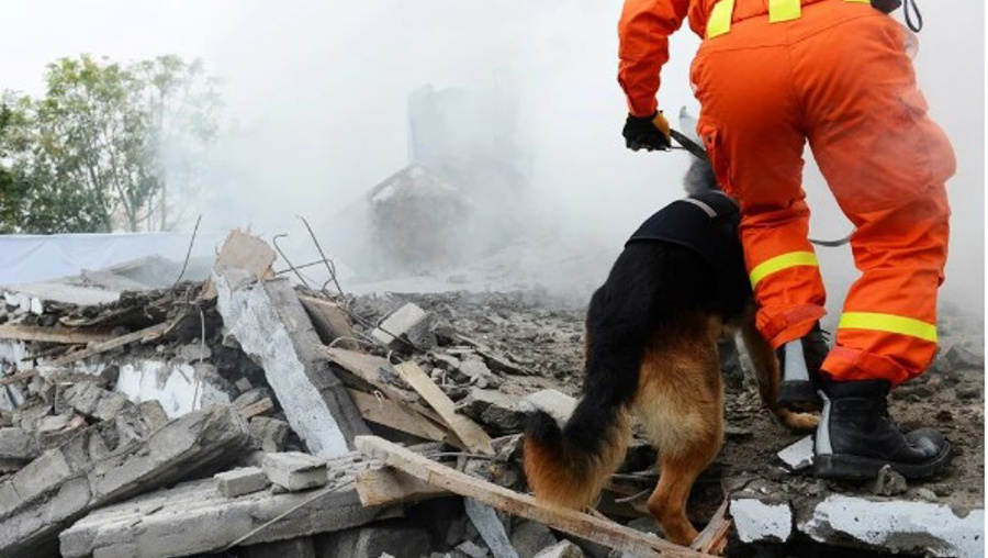 485 diri fayda saatte 5 deprem meydana geliyor