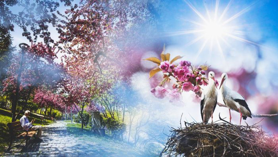 Yurt genelinde bu hafta yağışsız geçecek