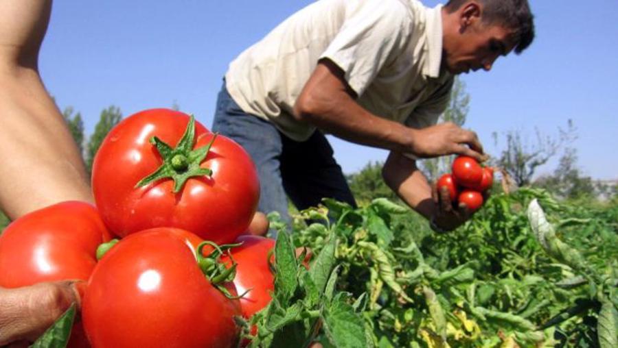 Ankara'da sosyal gelişme için 5 yeni proje desteklenecek