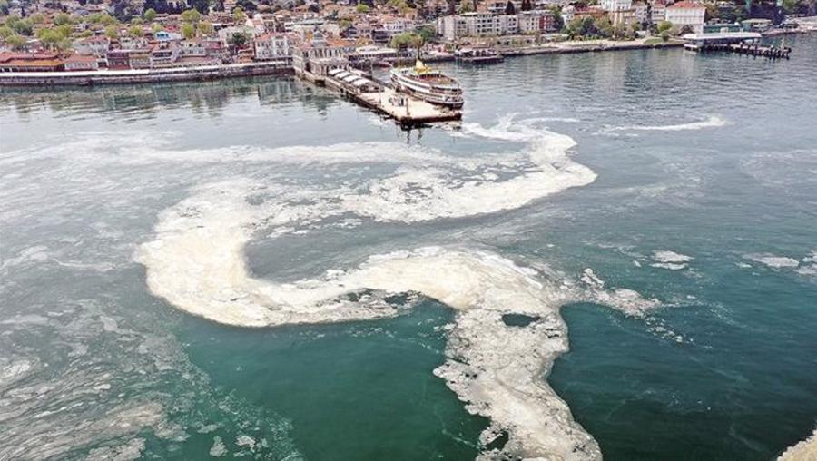 Müsilaj tehlikesi büyüyor! 7 belediyeye uyarı yazısı gönderildi