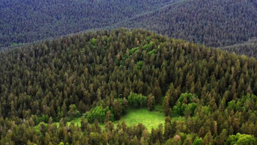 Milli parklara ilişkin kanun teklifi Komisyondan geçti