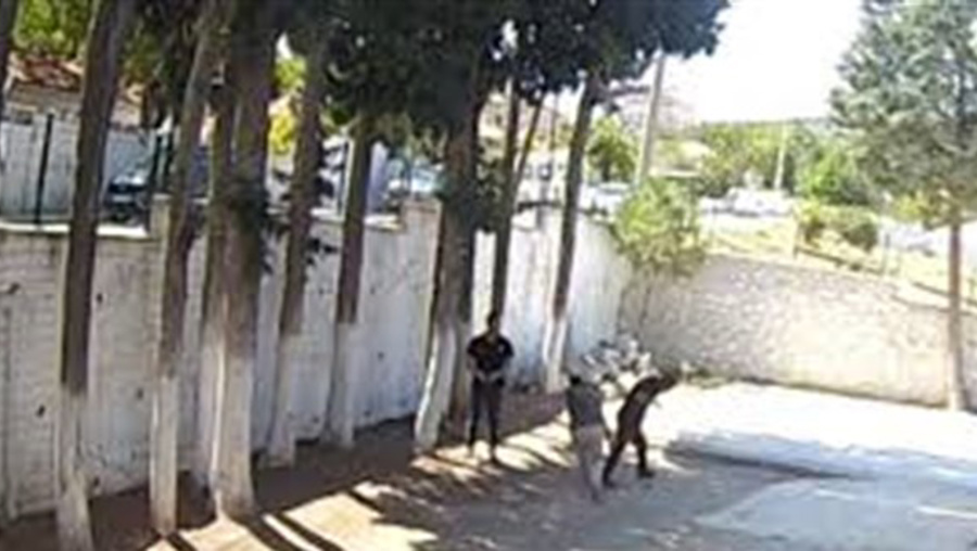 Belediye başkanı sopa ile zabıtaları dövdü