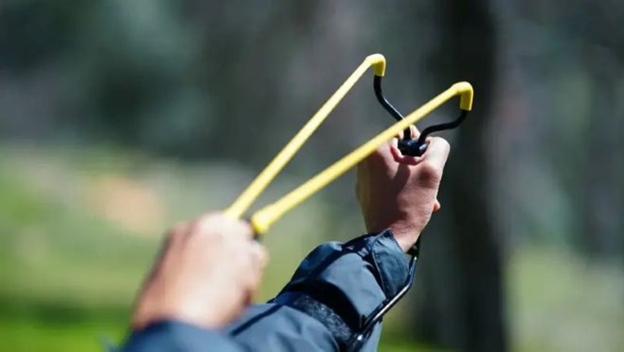 Sapanla kuş avlayana 15 bin lira ceza