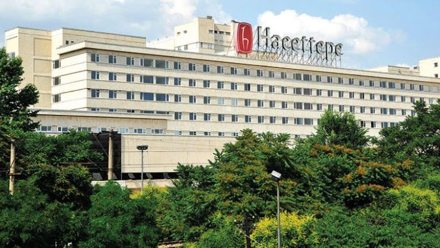 Hacettepe Üniversitesi 196 Sözleşmeli Personel Alacak